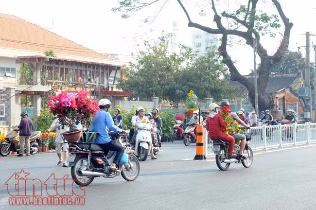 Chiều tối 30 Tết, giá hoa 'rẻ như cho', nhiều chủ hàng đập bỏ ảnh 6