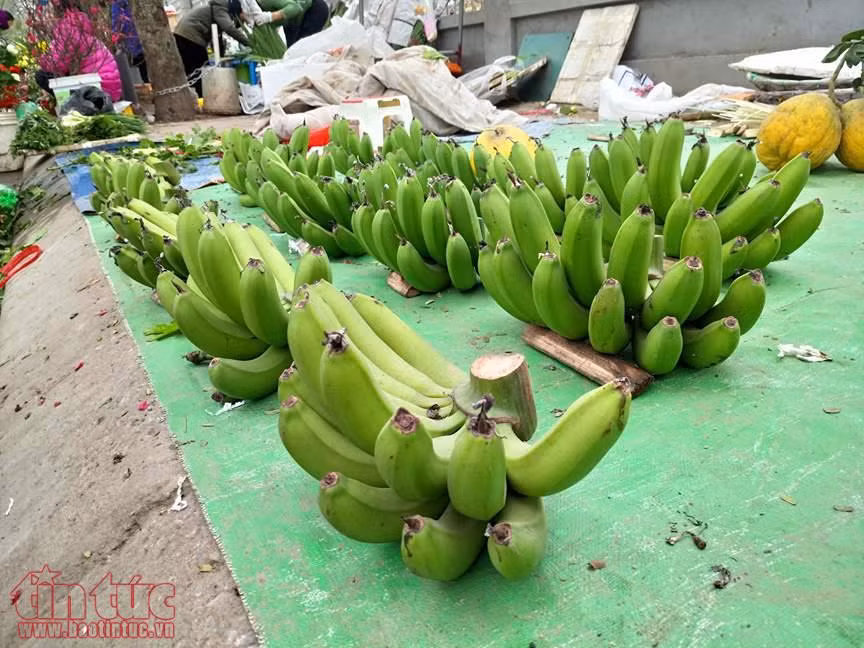 Ngày 28 Tết, chuối xanh bày mâm ngũ quả bị 'hét' giá 'trên trời' 300.000 đồng/nải ảnh 2