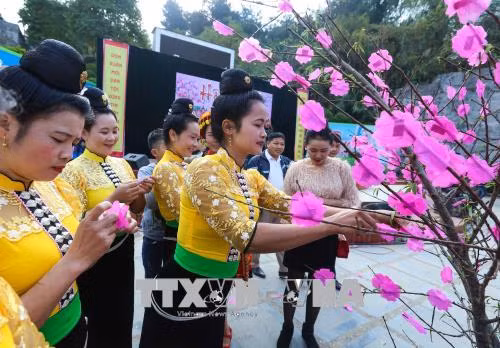 Tưng bừng các hoạt động vui Xuân Mậu Tuất tại các địa phương ảnh 3