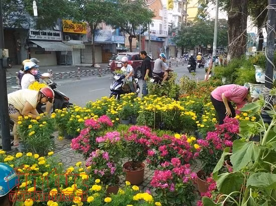 Chiều 29 Tết, người dân TP Hồ Chí Minh đổ xô đi mua hoa ảnh 3