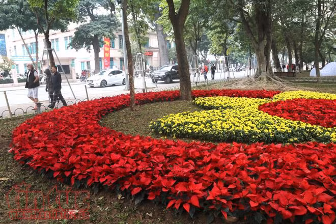 Trung tâm Hà Nội rực rỡ trước thềm Tết Nguyên đán ảnh 4