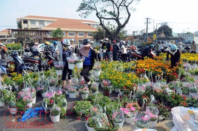 Chiều tối 30 Tết, giá hoa 'rẻ như cho', nhiều chủ hàng đập bỏ ảnh 10