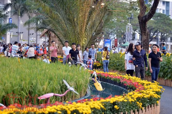 Đông đảo khách du Xuân, chụp ảnh tại các Hội hoa Xuân TP Hồ Chí Minh ảnh 4