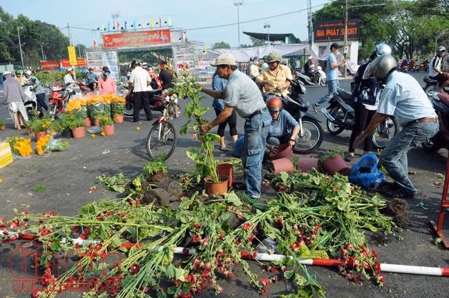 Chiều tối 30 Tết, giá hoa 'rẻ như cho', nhiều chủ hàng đập bỏ ảnh 11