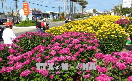 Rộn ràng sắc Xuân trên mọi miền Tổ quốc ảnh 12