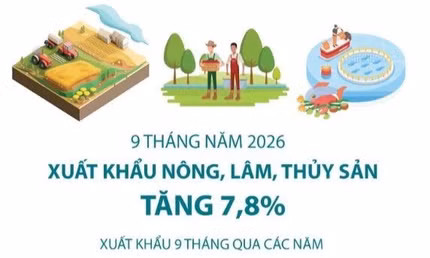9 tháng năm 2026: Xuất khẩu nông, lâm, thủy sản tăng 7,8%