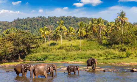 Sri Lanka - điểm hẹn du lịch hoang dã mới của du khách Việt