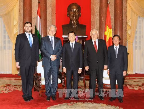 Chủ tịch nước tiếp các quan chức Hungary và Indonesia ảnh 1
