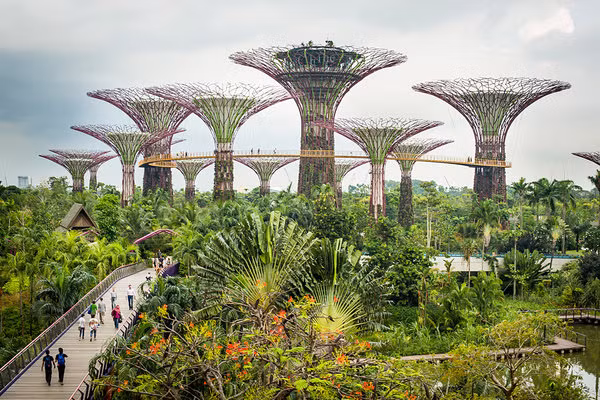 Singapore hướng đến 'thành phố trong vườn' ảnh 1