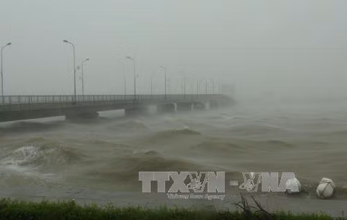 Nhiều địa phương thiệt hại nặng nề do bão số 10 ảnh 1