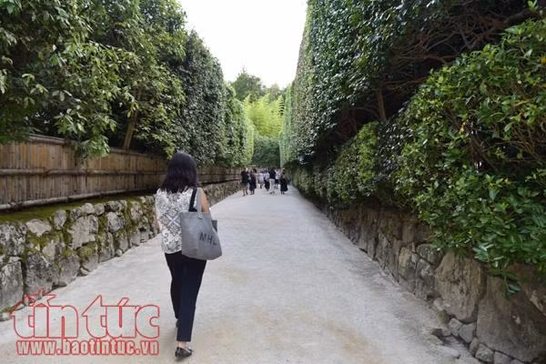 Chiêm ngưỡng ba ngôi chùa nổi tiếng ở cố đô Kyoto ảnh 3