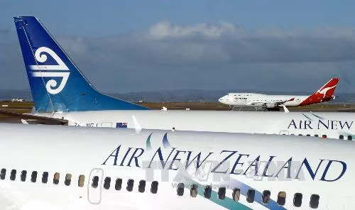 Sân bay New Zealand náo loạn vì rò rỉ ống nhiên liệu ảnh 1