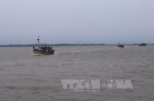 Ngành thủy sản quyết liệt ứng phó với việc EU 'rút thẻ vàng' ảnh 1