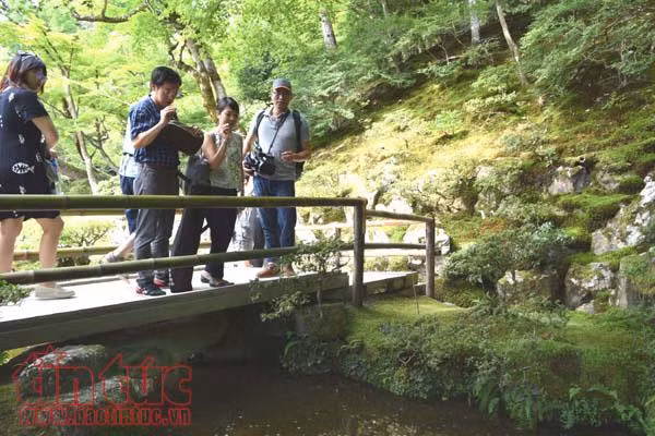 Chiêm ngưỡng ba ngôi chùa nổi tiếng ở cố đô Kyoto ảnh 6