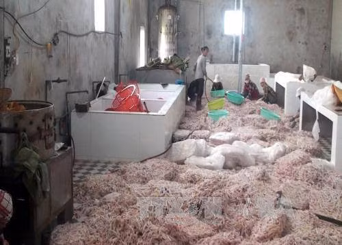 Tiêu hủy 12 tấn chân gà không rõ nguồn gốc ảnh 1