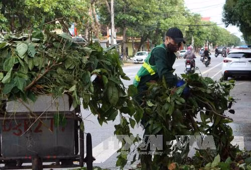 Nghệ An khắc phục hậu quả bão số 10 ảnh 5