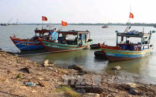 Phòng, chống bão số 10: Từ sáng 14/9, cấm tất cả tàu thuyền ra khơi ảnh 1