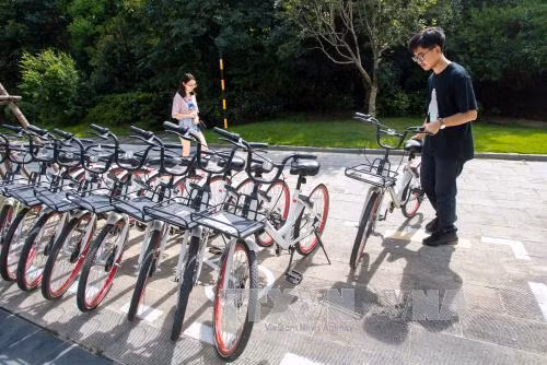 Xe đạp dùng chung Trung Quốc vươn sang Nhật Bản, châu Âu ảnh 1