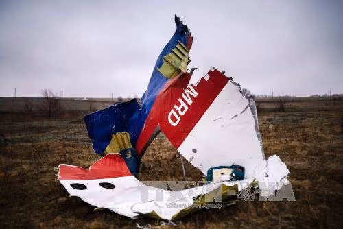 Kết quả điều tra: Tên lửa Nga bắn rơi MH17 ảnh 1