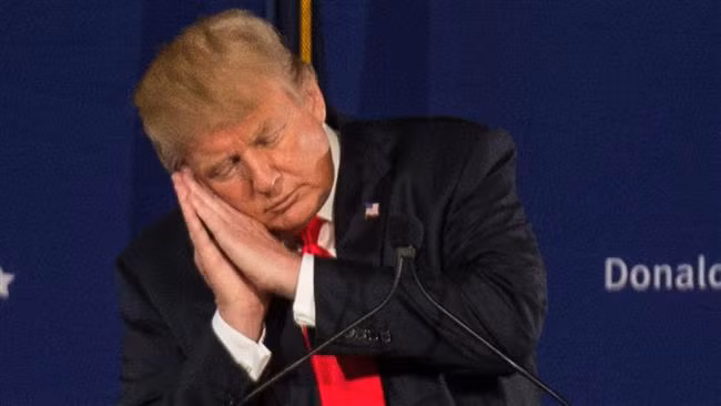 Chuyên gia Bloomberg: Ông Trump không phù hợp làm Tổng thống Mỹ ảnh 1