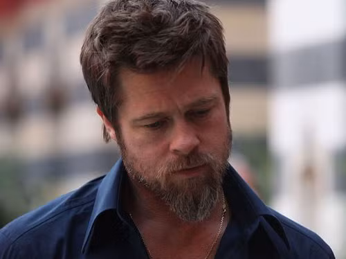 Cảnh sát Mỹ phủ nhận điều tra Brad Pitt bạo hành con cái ảnh 1