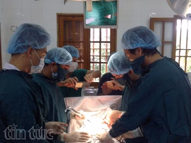 Cứu sống ngư dân nguy kịch do vỡ ruột thừa ảnh 1