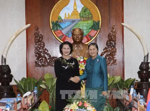 Chủ tịch QH Nguyễn Thị Kim Ngân hội đàm với Chủ tịch QH Lào ảnh 1