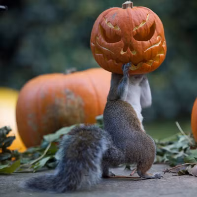 Thế giới tưng bừng chuẩn bị Halloween ảnh 10