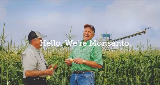 Monsanto có môi trường làm việc lý tưởng nhất toàn cầu ảnh 1