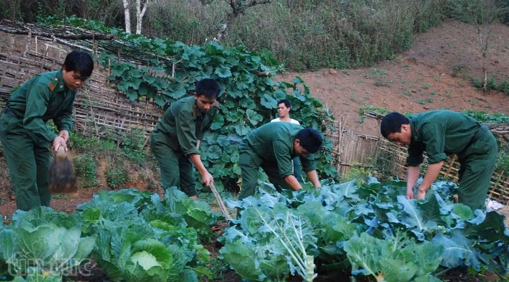 Để biên cương mãi một màu xanh bình yên - Bài 1 ảnh 2