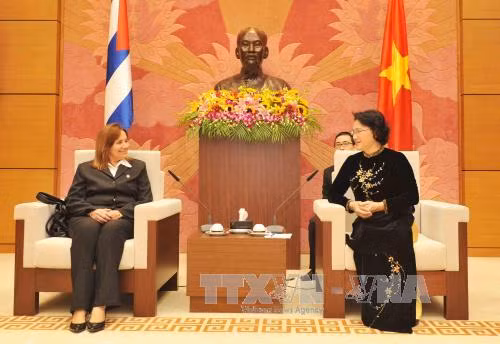 Việt Nam luôn sát cánh cùng nhân dân Cuba ảnh 1