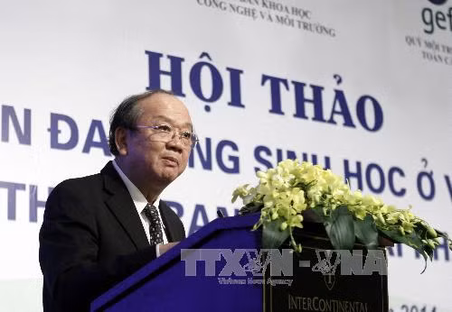 Phát triển đô thị ven sông Đồng Nai: Nên tham vấn về môi trường ảnh 1