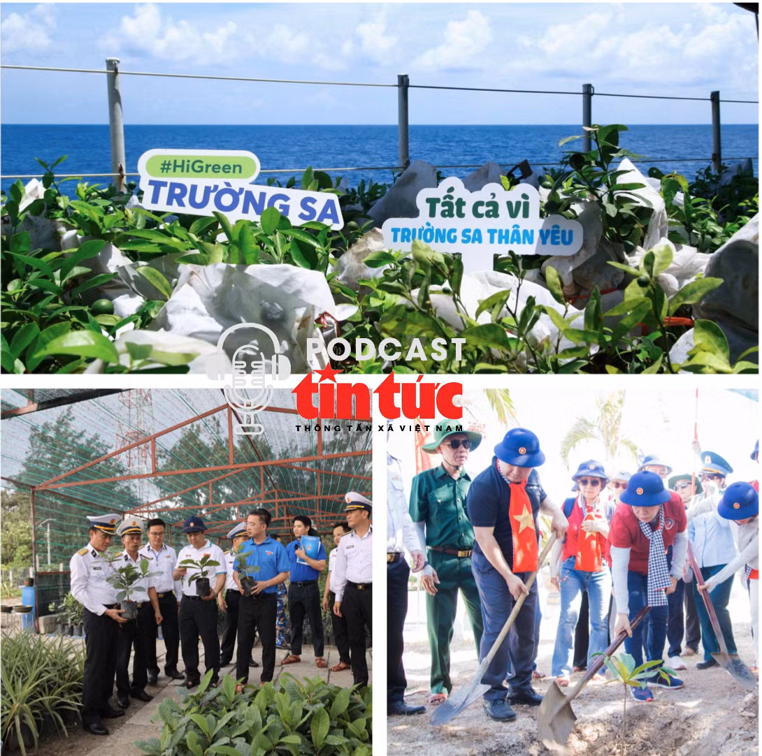 Mầm xanh từ đất liền, sức sống ở Trường Sa: Gửi niềm tin xanh 
