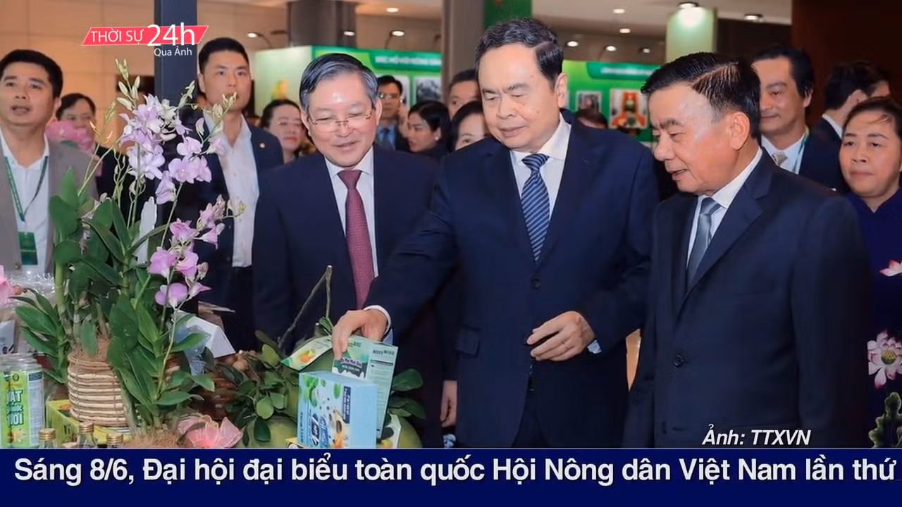 Thời sự 24h qua ảnh sáng 8/6