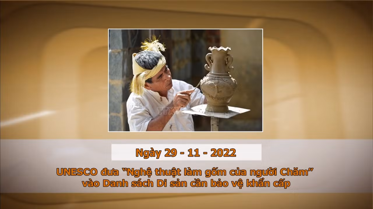 Khoảnh khắc & sự kiện ngày 29/11