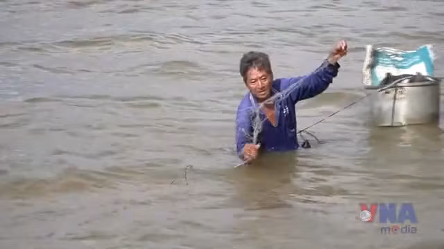 Nông dân Đồng Tháp nhộn nhịp nghề 'ăn theo' con nước