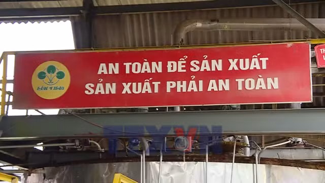 An toàn lao động: Đừng đánh đổi bằng sinh mạng