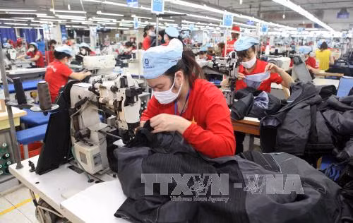 Kinh tế Việt Nam phục hồi sau 'cơn choáng' TPP ảnh 1
