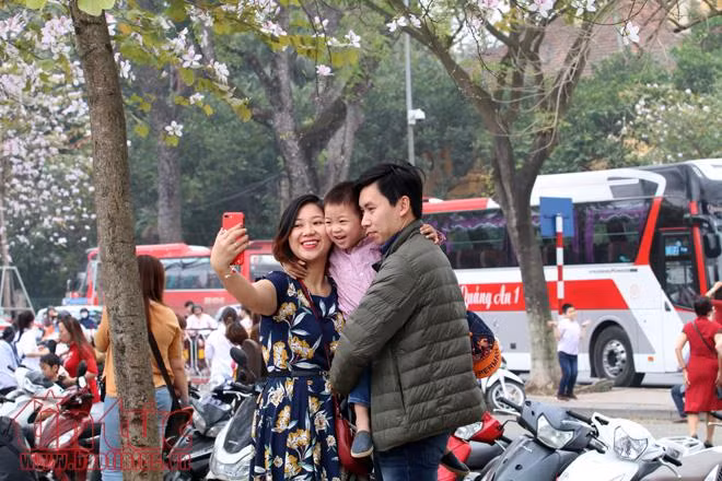 Mê mệt sắc tím hoa ban giữa trời Xuân Hà Nội ảnh 10