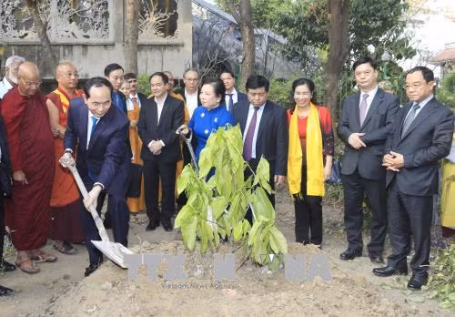 Chủ tịch nước Trần Đại Quang bắt đầu chuyến thăm cấp Nhà nước tới Cộng hòa Ấn Độ ảnh 5
