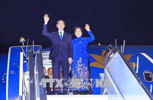 Chủ tịch nước Trần Đại Quang bắt đầu chuyến thăm cấp Nhà nước tới Cộng hòa Ấn Độ ảnh 1