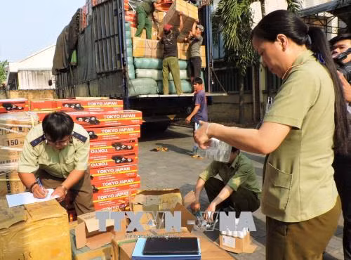 Phát hiện xe tải biển số nước ngoài chở 290 hộp tân dược không chứng từ ảnh 1