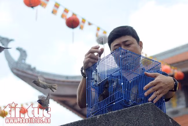 Người dân đổ xô đi chùa cầu an rằm tháng Giêng ảnh 7