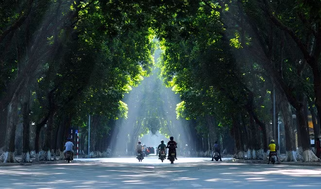 Thời tiết 6/3: Hà Nội và nhiều tỉnh phía Bắc có mưa nhỏ và sương mù ảnh 1