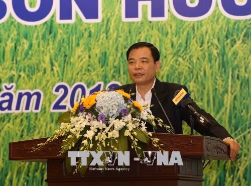 Bộ trưởng Nguyễn Xuân Cường: Sử dụng phân bón hữu cơ là xu hướng tất yếu ảnh 1