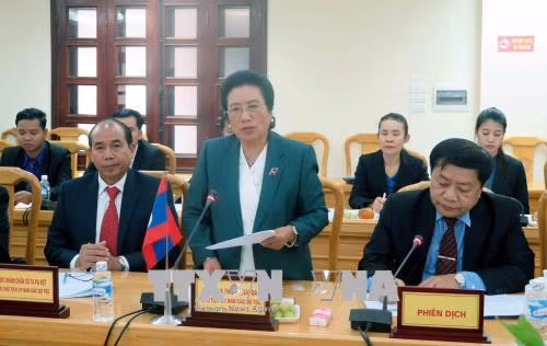 Ủy ban Dân tộc của Quốc hội Lào làm việc tại Hà Tĩnh ảnh 1