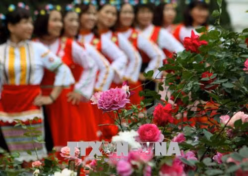 Chiêm ngưỡng muôn sắc hoa hồng Bulgaria tại Công viên nước Hồ Tây ảnh 7