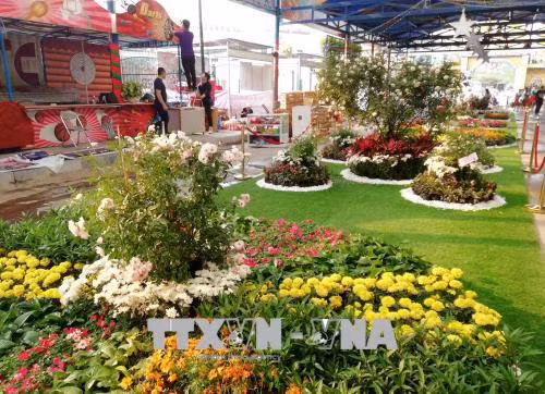 Chiêm ngưỡng muôn sắc hoa hồng Bulgaria tại Công viên nước Hồ Tây ảnh 1