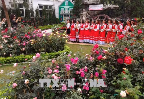 Chiêm ngưỡng muôn sắc hoa hồng Bulgaria tại Công viên nước Hồ Tây ảnh 6