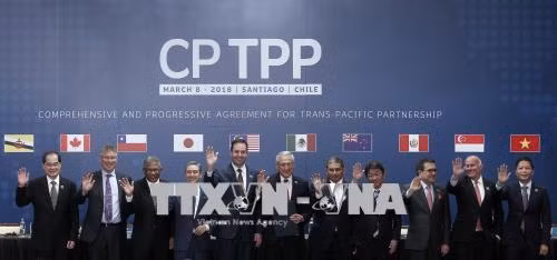 Ngân hàng Thế giới: CPTPP sẽ mang lại nhiều lợi ích kinh tế to lớn cho Việt Nam ảnh 1